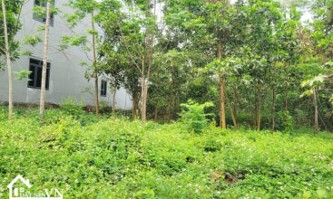 2922 Yen Trung Thach That 6