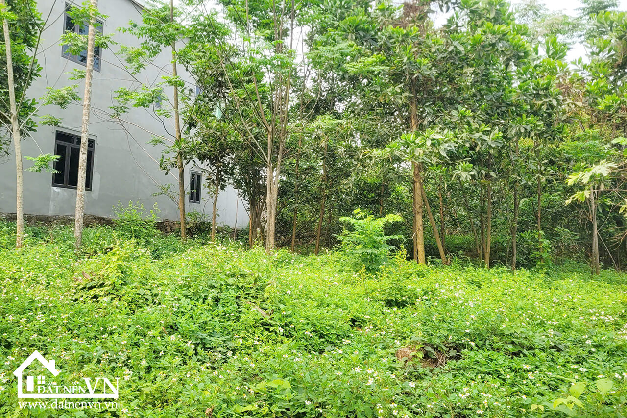 2922 Yên Trung Thach That (6) 2922 Yen Trung Thach That 6