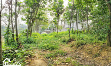 2922 Yen Trung Thach That 7