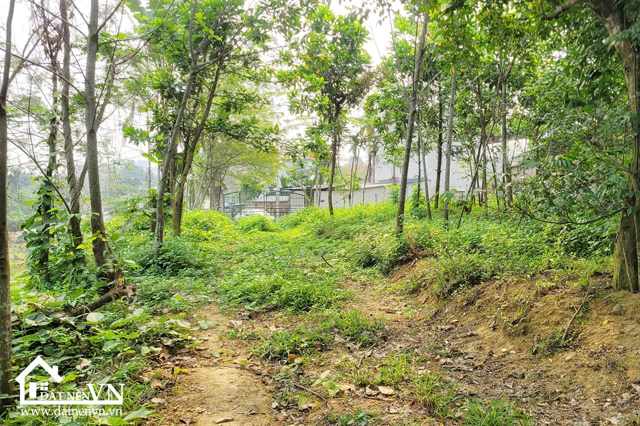 2922 Yên Trung Thach That (7) 2922 Yen Trung Thach That 7