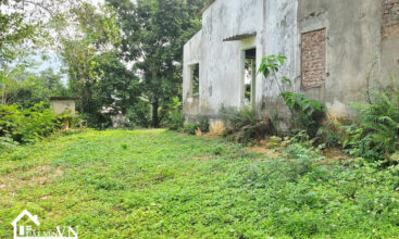 2922 Yen Trung Thach That 8