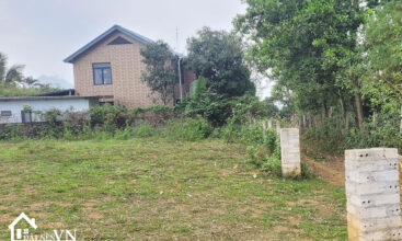 4223m2 Co Dung Tien Xuan Thach That 2