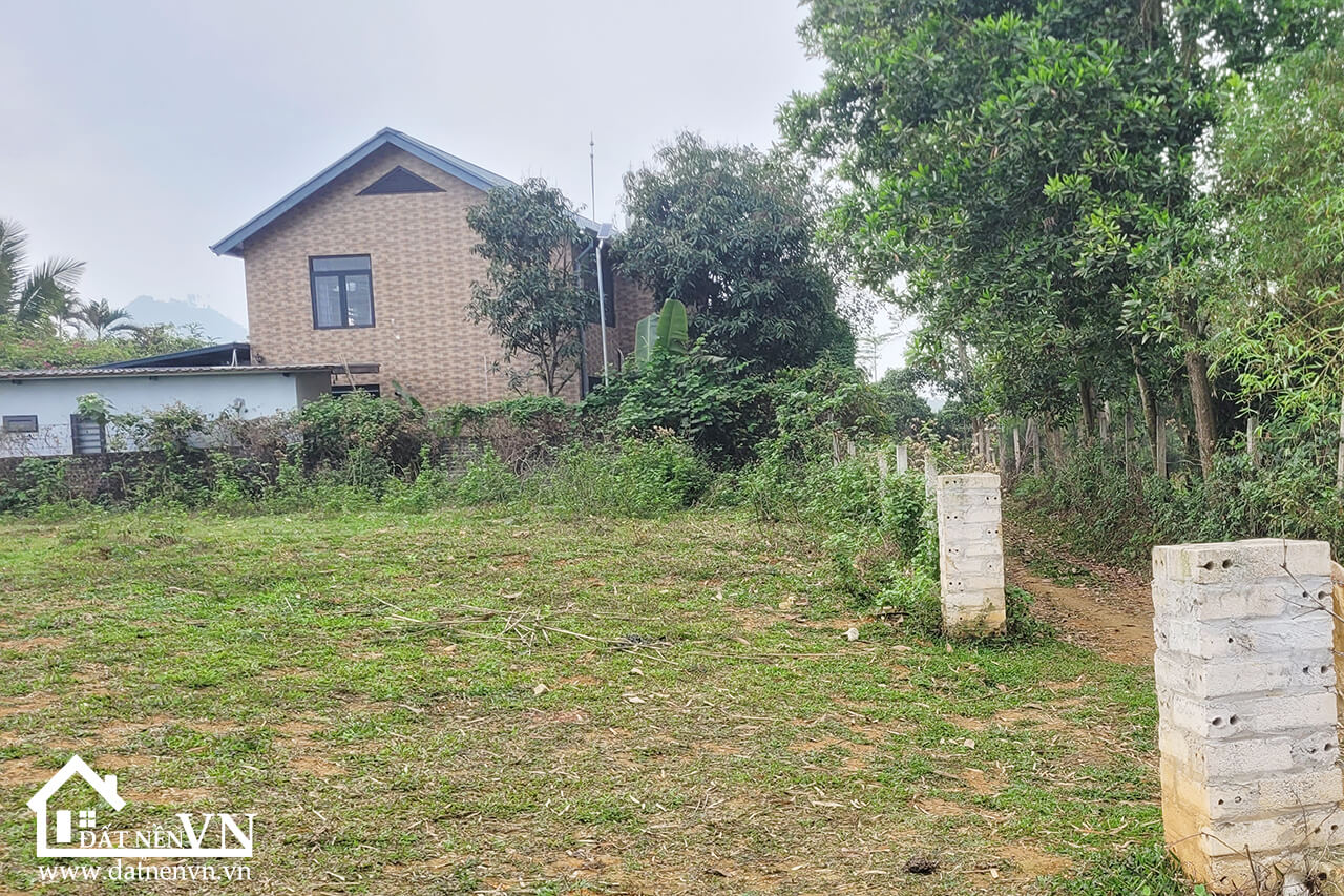 4223m2 Co Dung Tien Xuan Thach That (2) 4223m2 Co Dung Tien Xuan Thach That 2