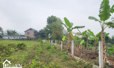 4223m2 Co Dung Tien Xuan Thach That 3