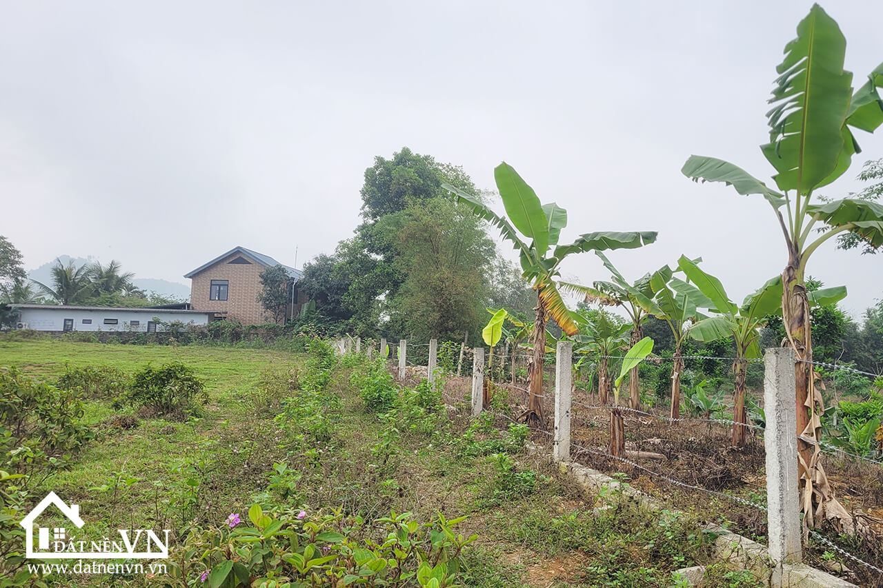 4223m2 Co Dung Tien Xuan Thach That (3) 4223m2 Co Dung Tien Xuan Thach That 3