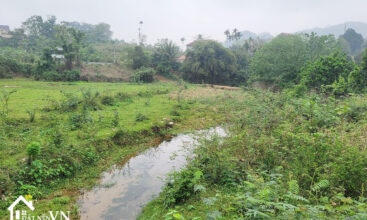 4223m2 Co Dung Tien Xuan Thach That 4