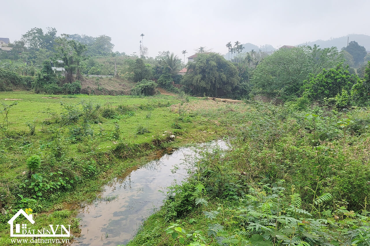 4223m2 Co Dung Tien Xuan Thach That (4) 4223m2 Co Dung Tien Xuan Thach That 4