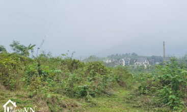 4223m2 Co Dung Tien Xuan Thach That 5