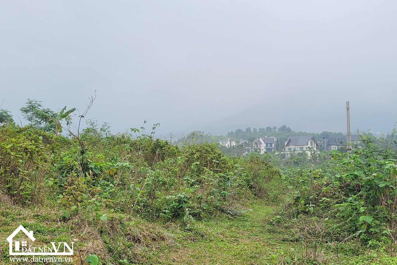 4223m2 Co Dung Tien Xuan Thach That (5) 4223m2 Co Dung Tien Xuan Thach That 5