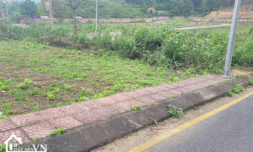 75m2 89 Hola Bai Dai Tien Xuan 3