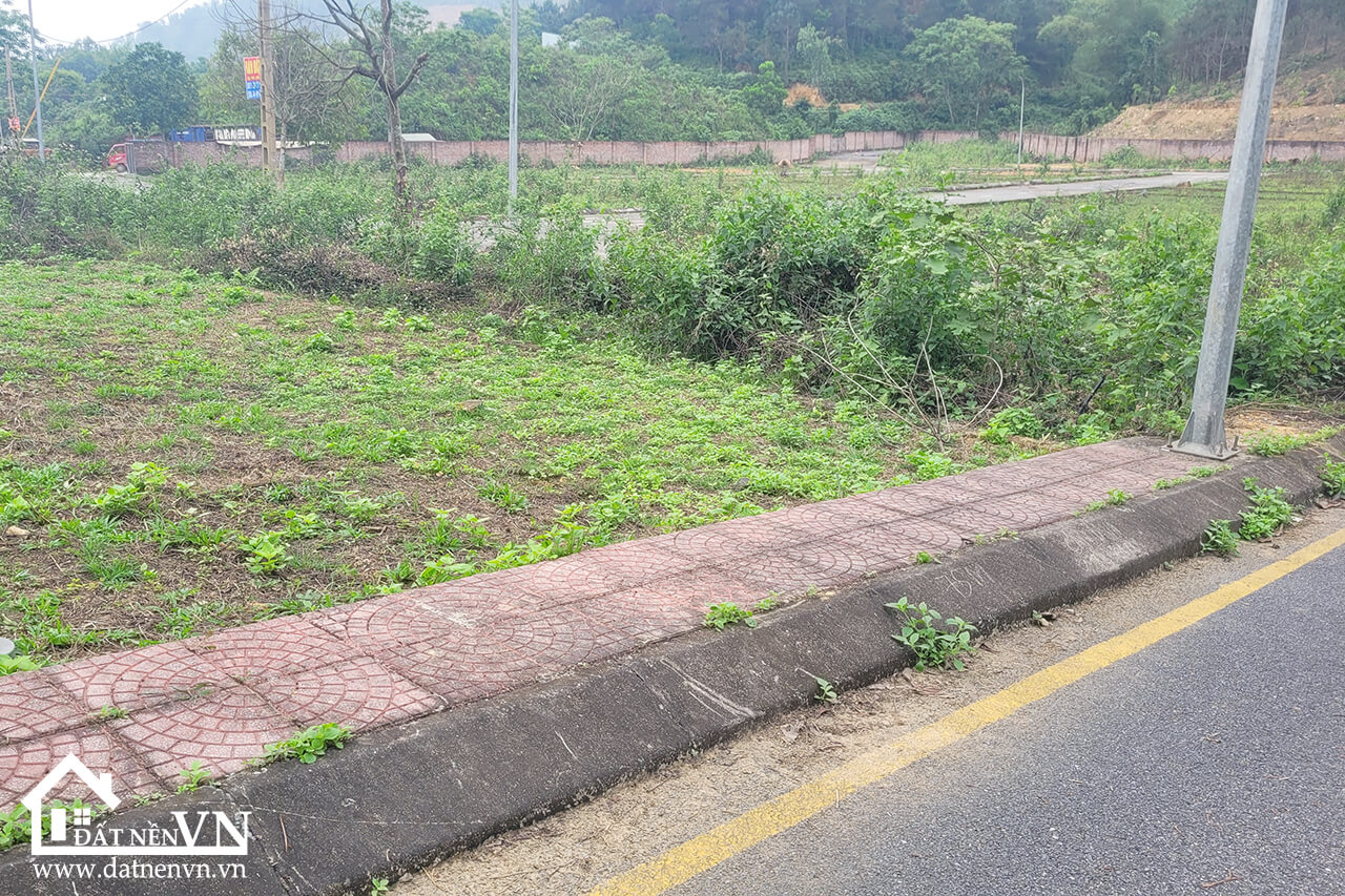 75m2 89 Hola Bai Dai Tien Xuan (3) 75m2 89 Hola Bai Dai Tien Xuan 3