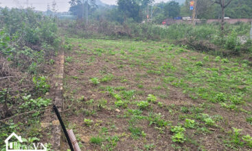 75m2 89 Hola Bai Dai Tien Xuan 5