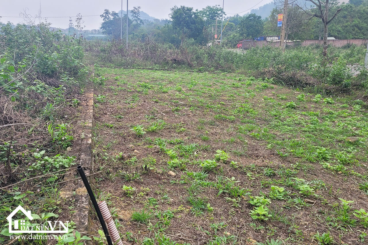 75m2 89 Hola Bai Dai Tien Xuan (5) 75m2 89 Hola Bai Dai Tien Xuan 5