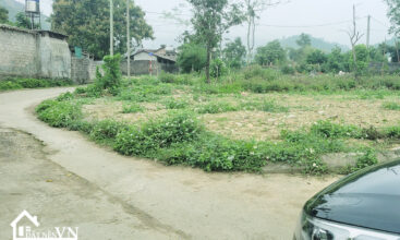 200m2 thon Hoi Yen Trung Thach That 3