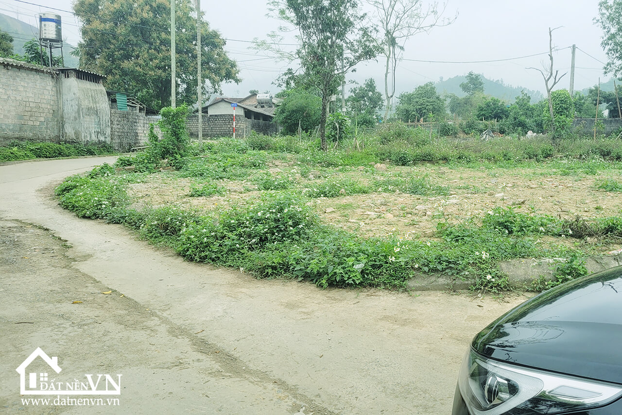 200m2 thon Hoi Yen Trung Thach That (3) 200m2 thon Hoi Yen Trung Thach That 3