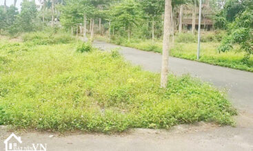 20250515 085227.00 00 56 10.Still008