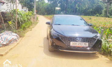 3288 Dat Minh Quang Ba Vi 4