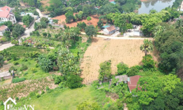 3288 Dat Minh Quang Ba Vi 5