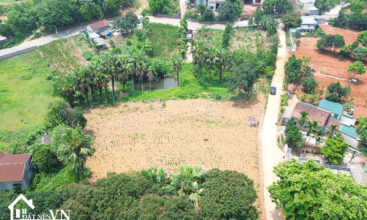 3288 Dat Minh Quang Ba Vi 7