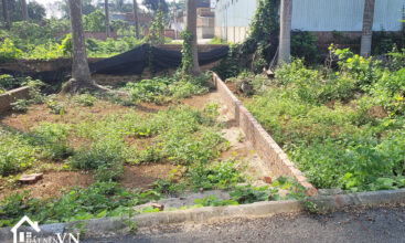 69m2 thon Khoang Mai xa Dong Truc Thach That 4