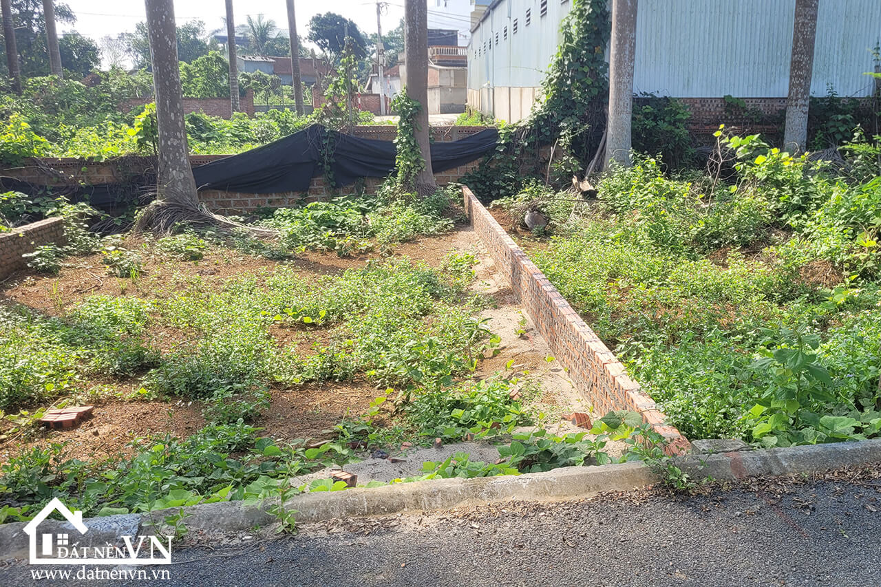 69m2 thôn Khoang Mái xã Đồng Trúc Thạch Thất (4) 69m2 thon Khoang Mai xa Dong Truc Thach That 4