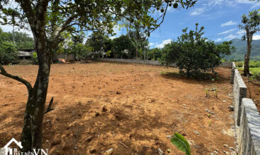 903 Cha Giua Hop Phong 1