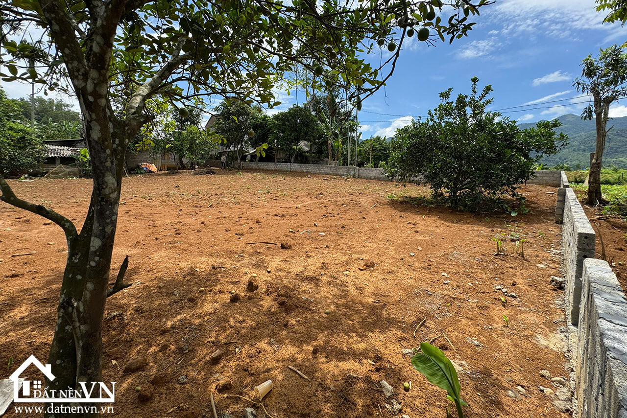 903 Chằ Giữa Hợp Phong (1) 903 Cha Giua Hop Phong 1