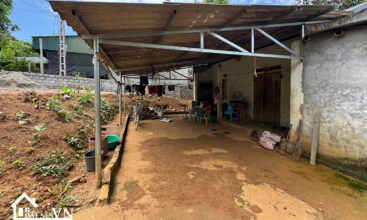 903 Cha Giua Hop Phong 2