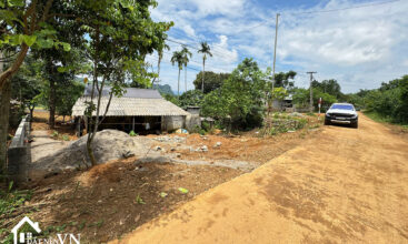 903 Cha Giua Hop Phong 3