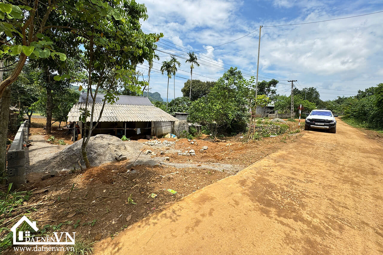 903 Chằ Giữa Hợp Phong (3) 903 Cha Giua Hop Phong 3