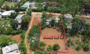 903 Cha Giua Hop Phong 4