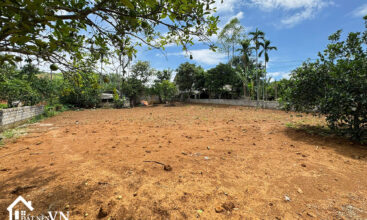 903 Cha Giua Hop Phong 5