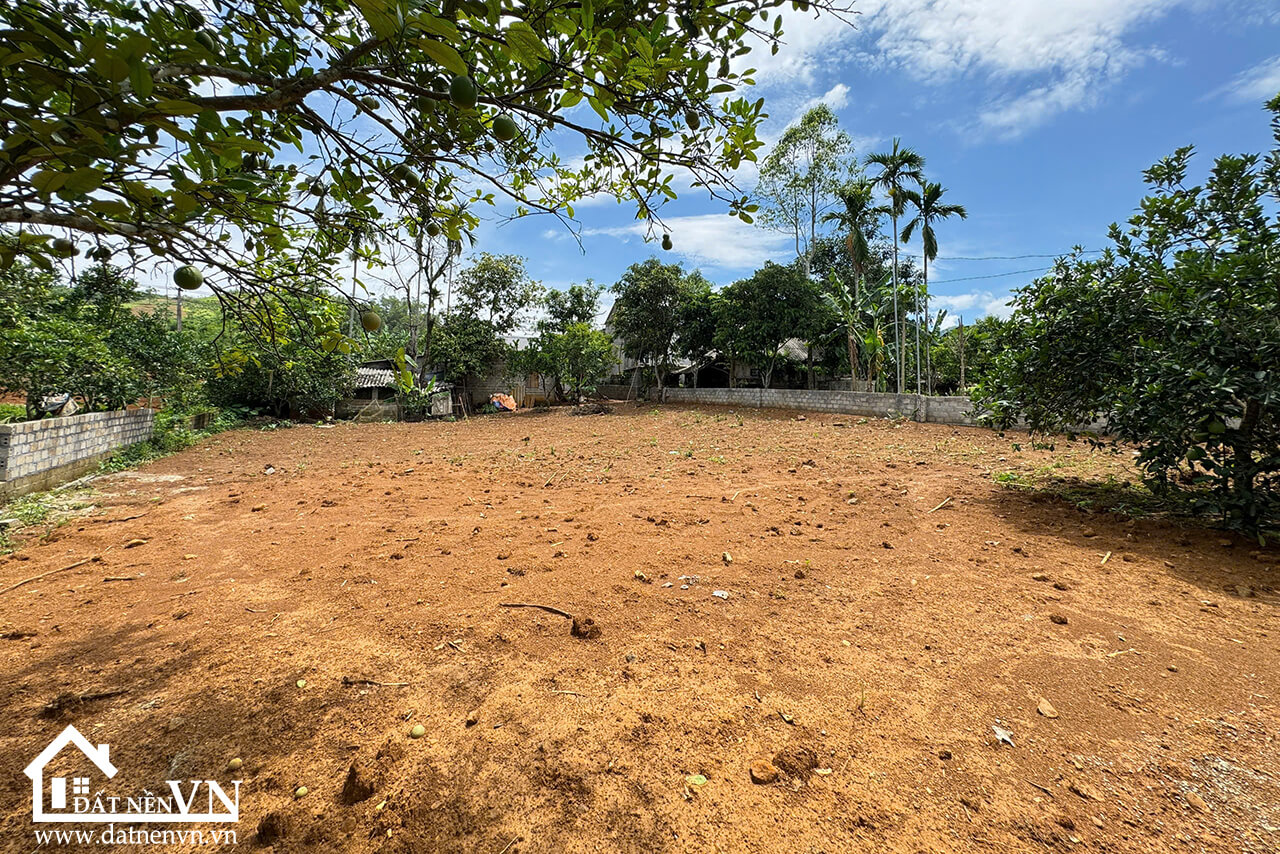 903 Chằ Giữa Hợp Phong (5) 903 Cha Giua Hop Phong 5