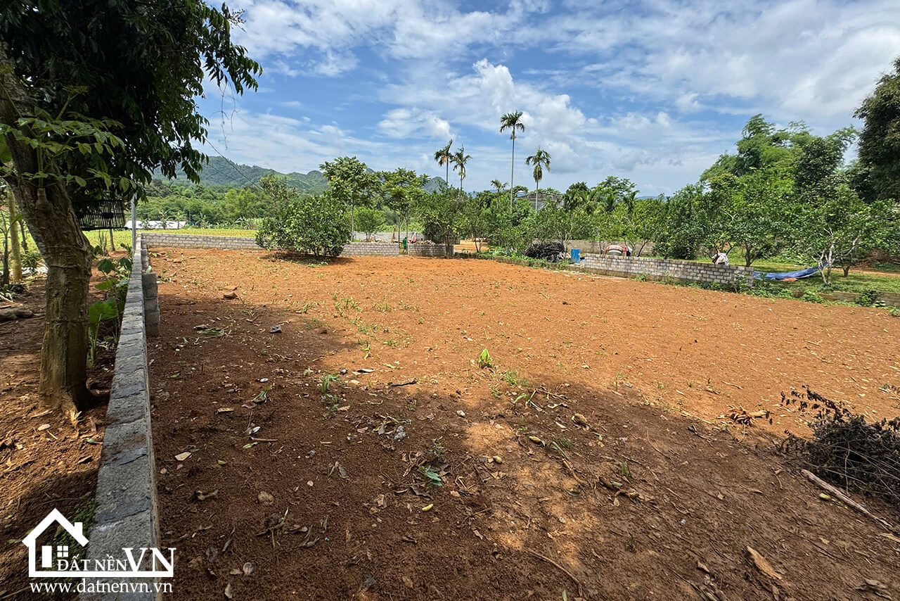 903 Chằ Giữa Hợp Phong (6) 903 Cha Giua Hop Phong 6