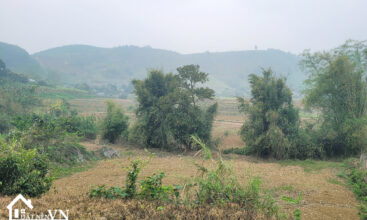 1426 Hop Phong Cao Phong Hoa Binh 1