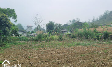 1426 Hop Phong Cao Phong Hoa Binh 2