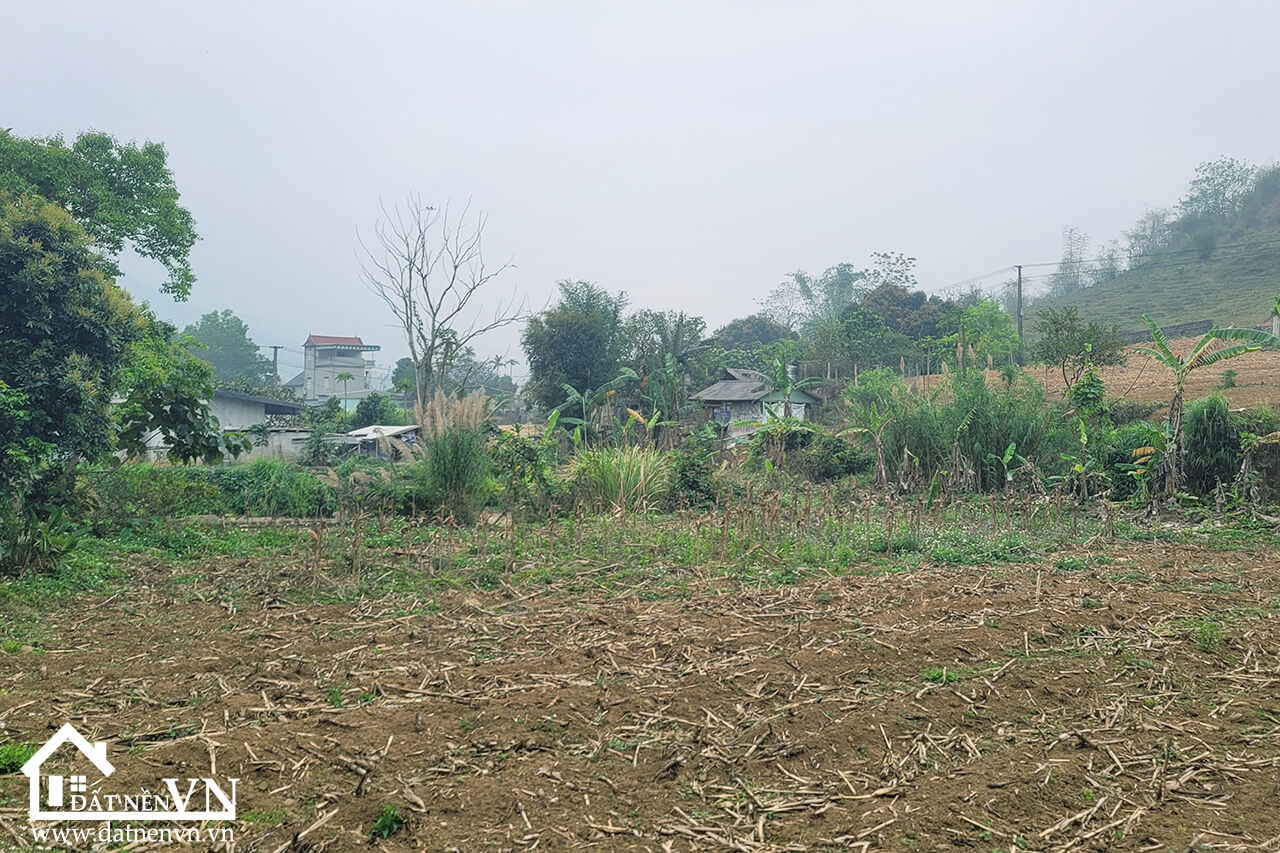 1426 Hợp Phong Cao Phong Hòa Bình (2) 1426 Hop Phong Cao Phong Hoa Binh 2