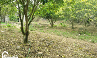 1426 Hop Phong Cao Phong Hoa Binh 3