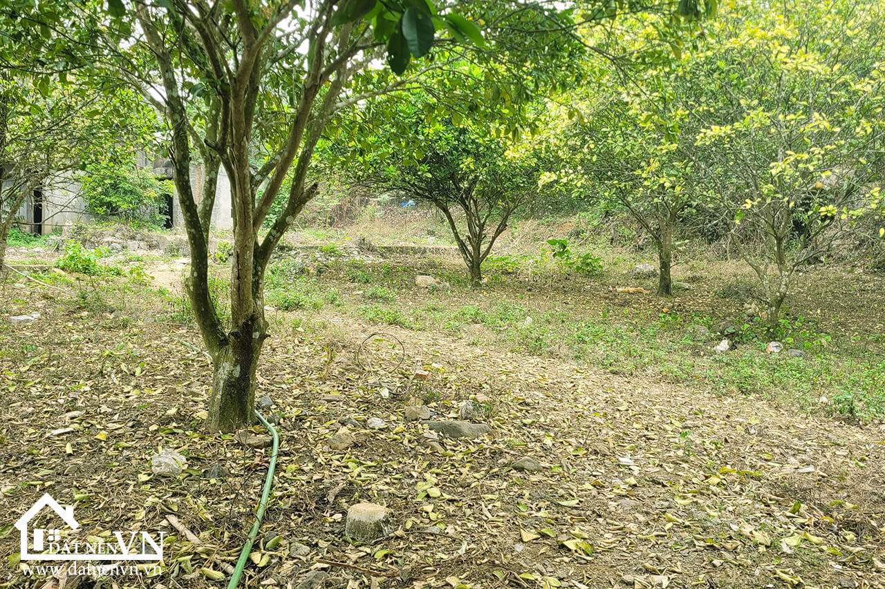 1426 Hợp Phong Cao Phong Hòa Bình (3) 1426 Hop Phong Cao Phong Hoa Binh 3