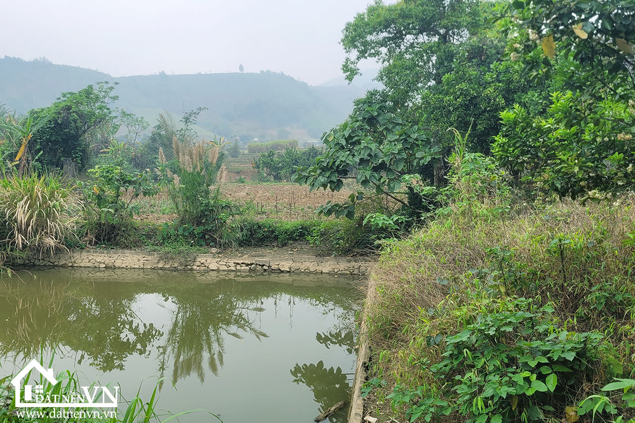 1426 Hợp Phong Cao Phong Hòa Bình (4) 1426 Hop Phong Cao Phong Hoa Binh 4