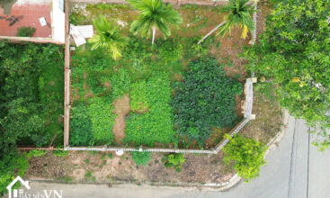 142m2 tdc Vai Reo phu cat quoc oai 1