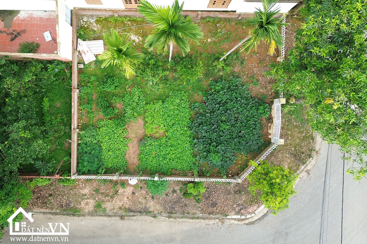 142m2 tdc Vai Réo phú cát quốc oai (1) 142m2 tdc Vai Reo phu cat quoc oai 1