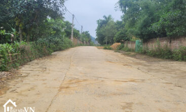 291m2 dong cham dong xuan 1