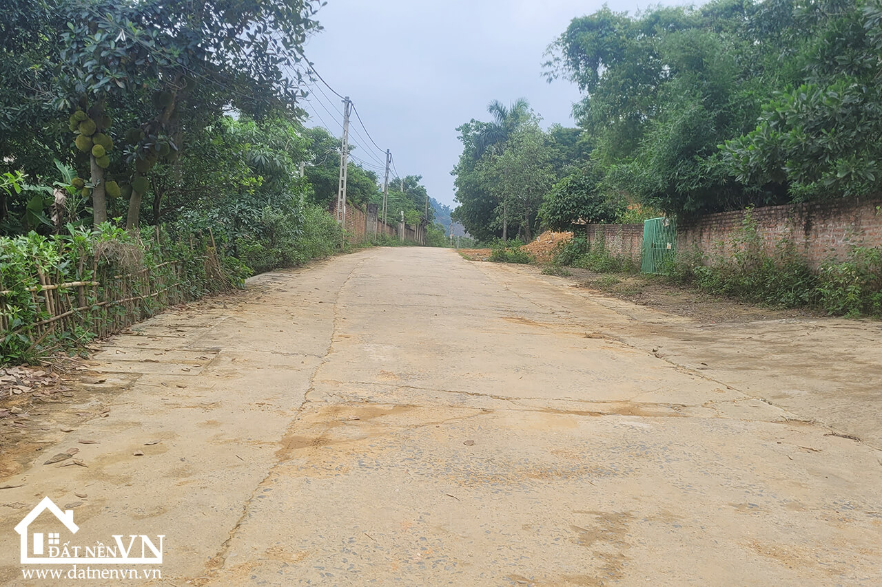 291m2 đồng chằm đông xuân (1) 291m2 dong cham dong xuan 1