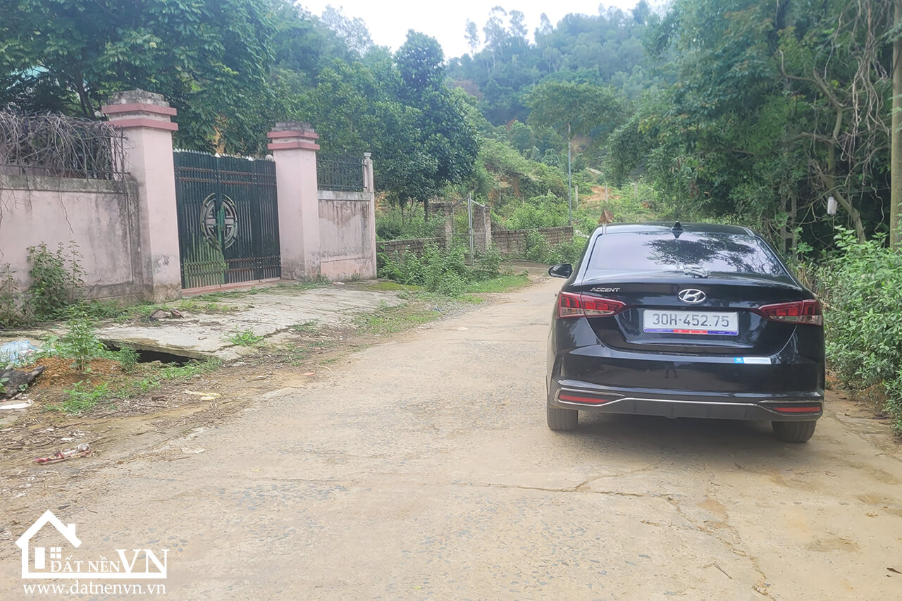 291m2 đồng chằm đông xuân (2) 291m2 dong cham dong xuan 2