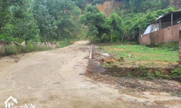 291m2 dong cham dong xuan 3