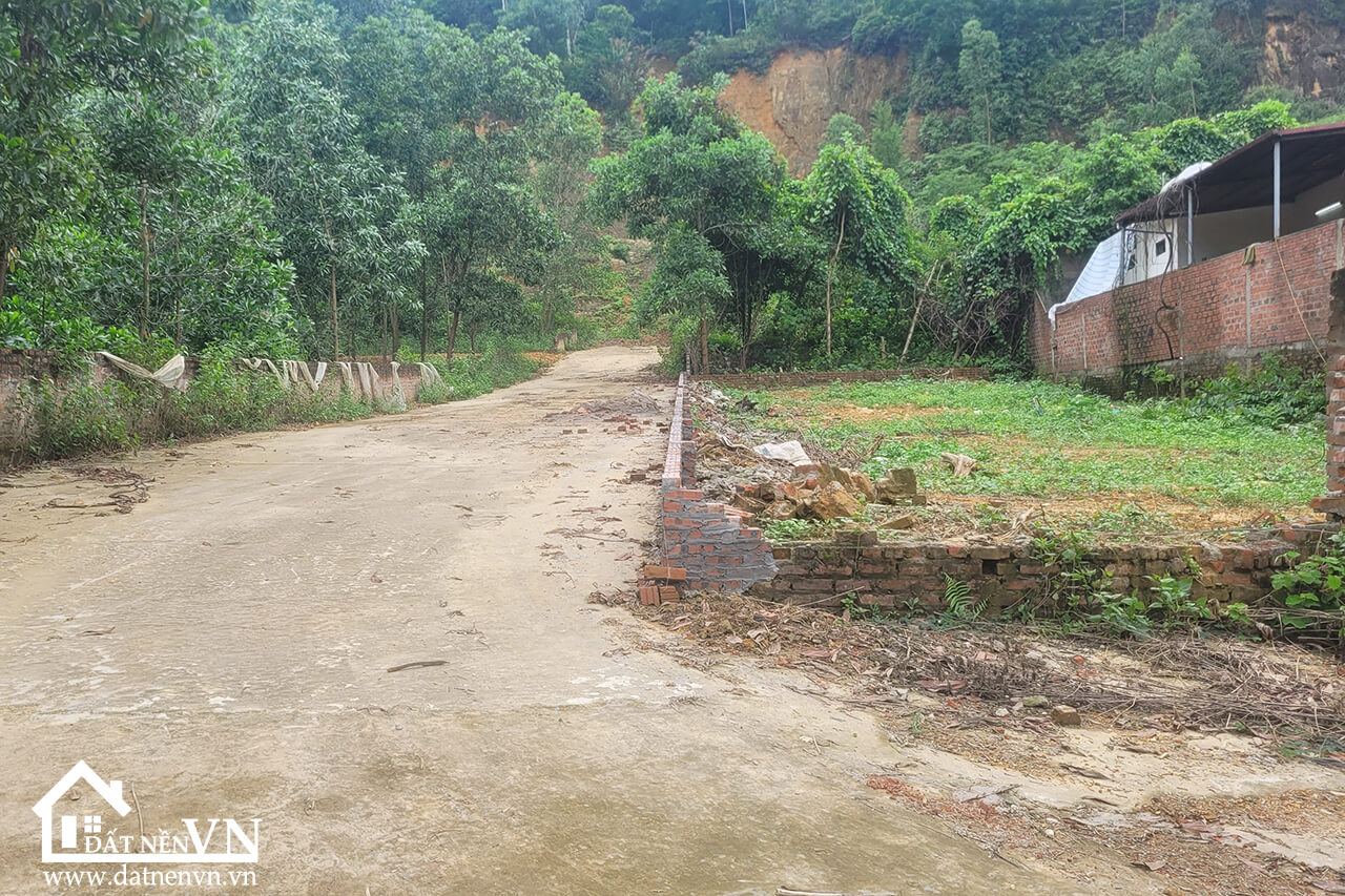 291m2 đồng chằm đông xuân (3) 291m2 dong cham dong xuan 3