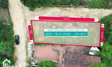 291m2 dong cham dong xuan 7