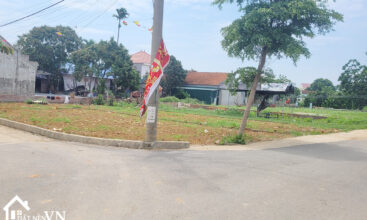 316 thon 2 phu cat quoc oai ha noi 2