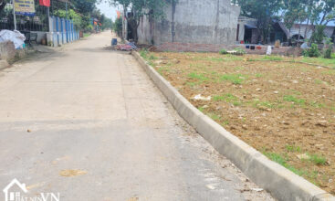 316 thon 2 phu cat quoc oai ha noi 3